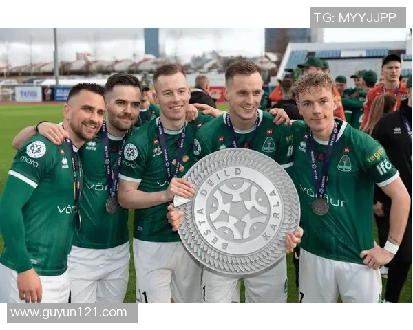 冰岛与斯洛文尼亚的足球对决分析及比赛前瞻