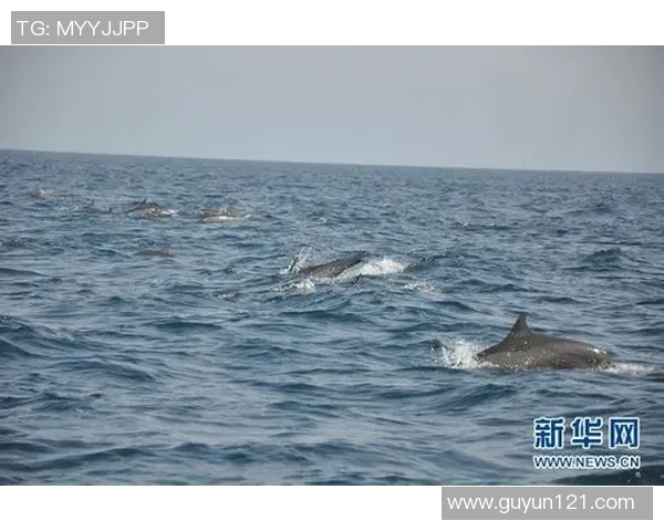 澳大利亚与阿曼足球比赛直播全程回顾及精彩瞬间分析