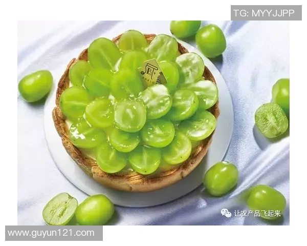 群马温泉与冈山绿的魅力对比探讨与旅游推荐